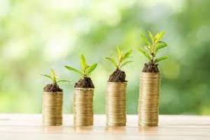 Diferencia entre RSE y Sostenibilidad | Coopecaja