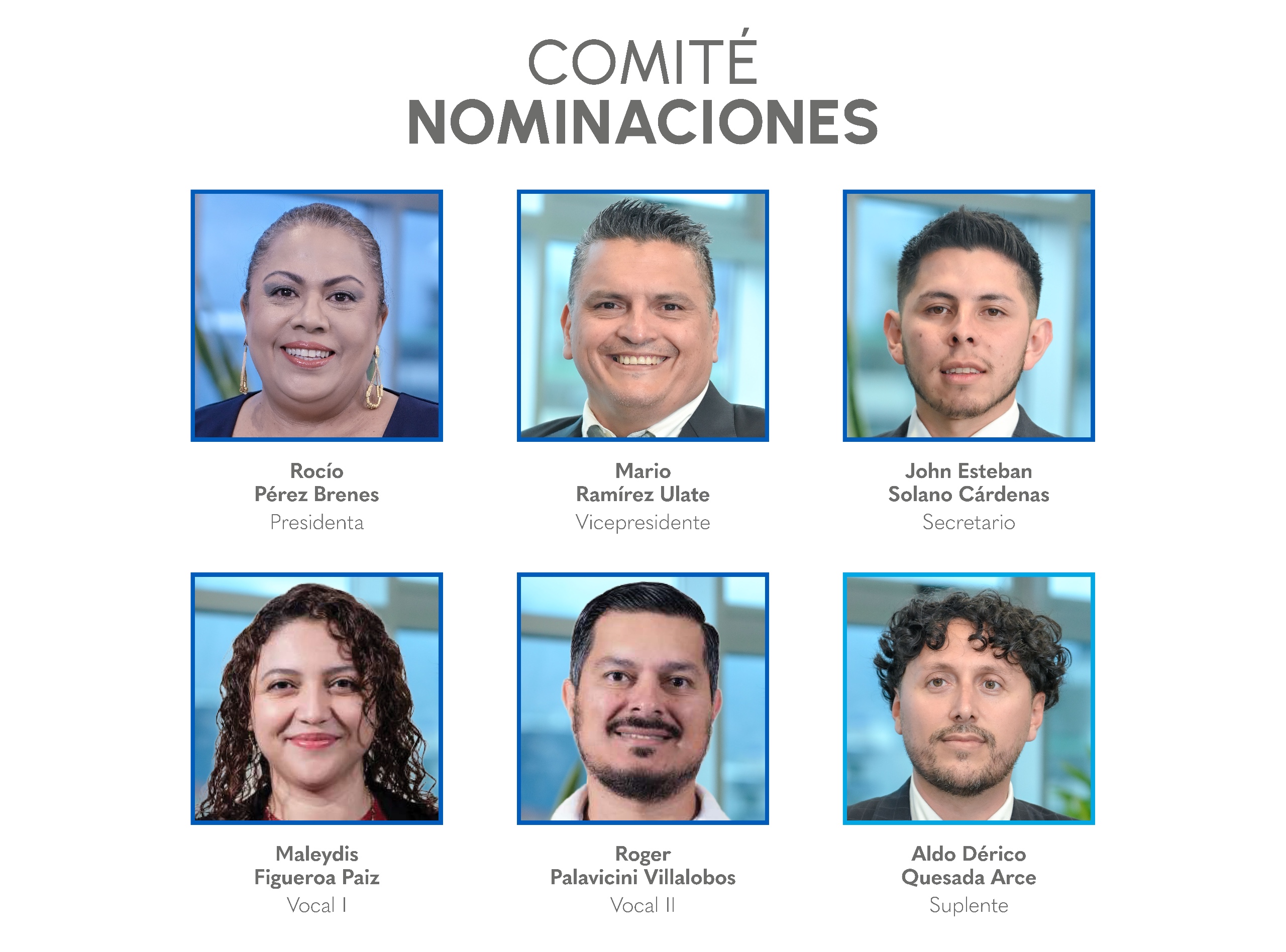 Comité de Nominaciones