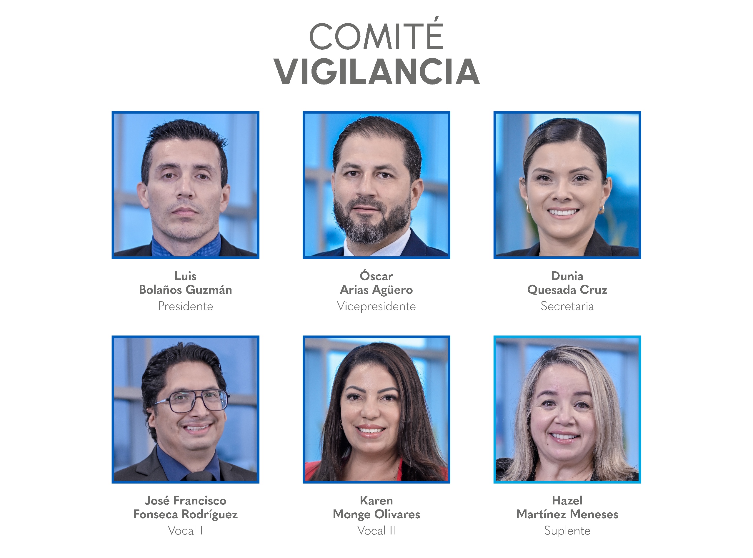 Comité de Vigilancia