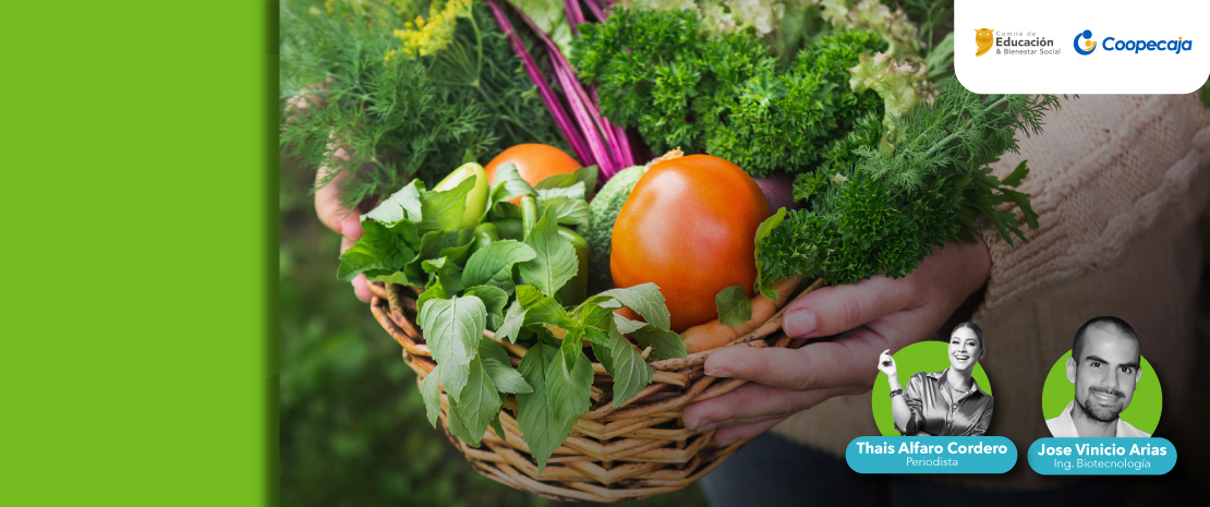 huerta