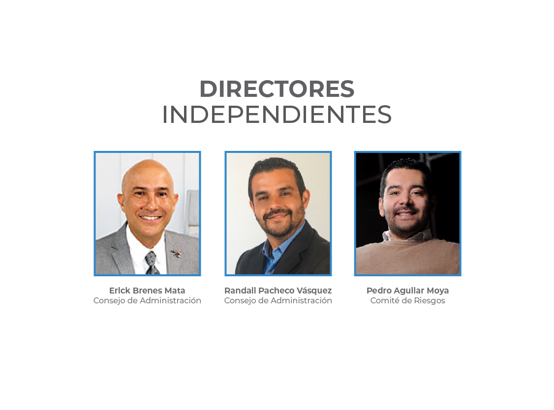 Directores Independientes