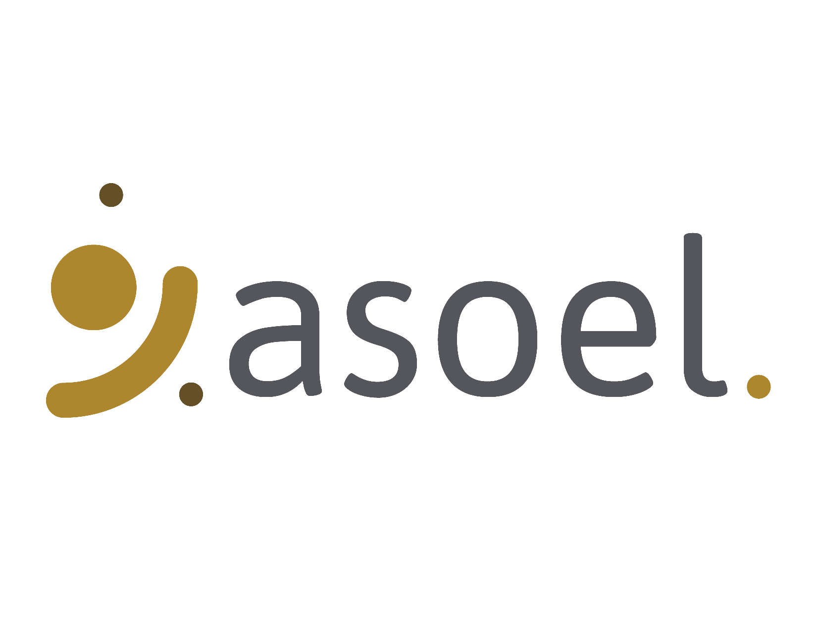 Logo ASOCIACION SOLIDARISTA DE ESTABLISHMENT LABS (ASOEL)