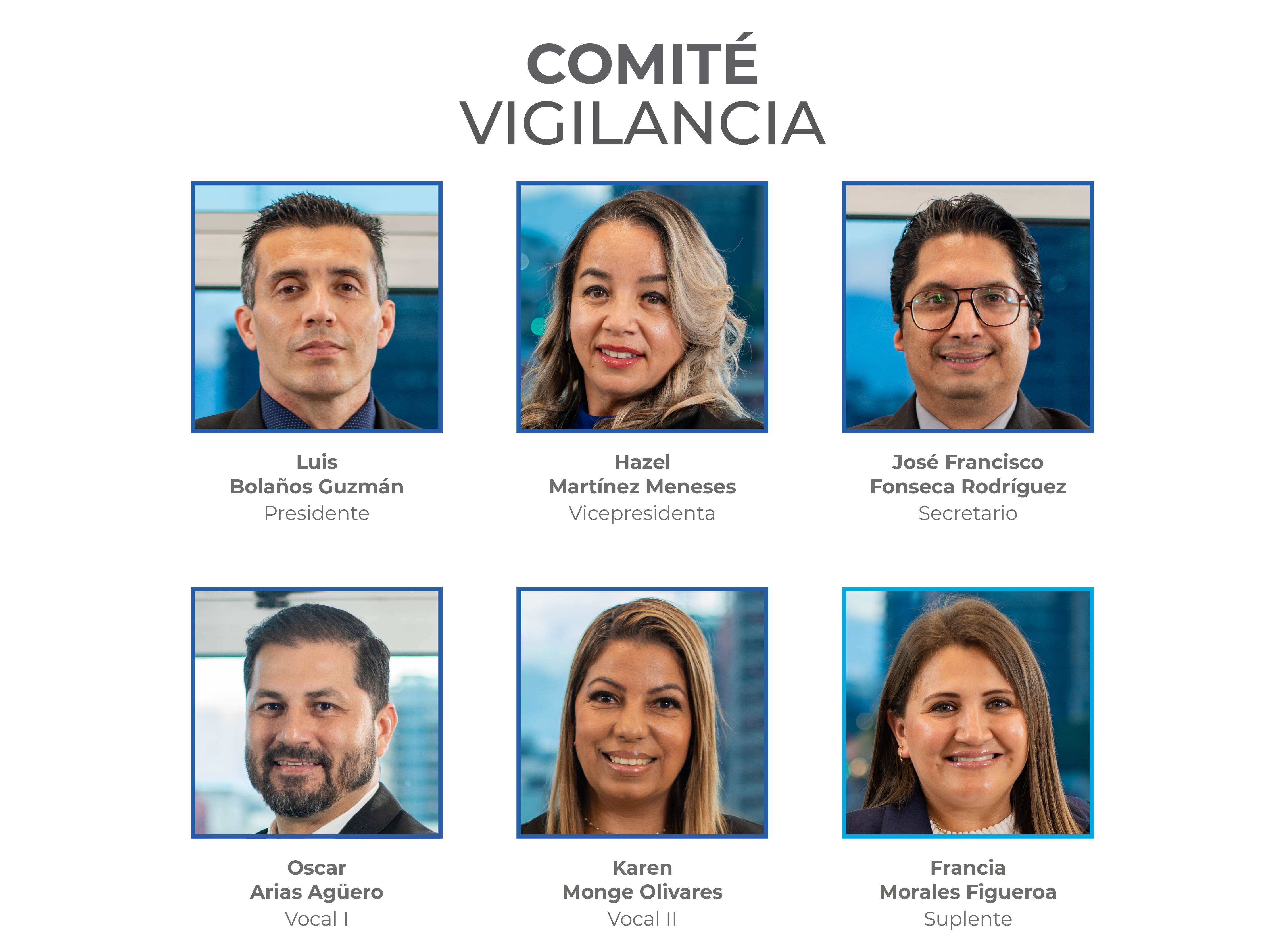 Comité de Vigilancia